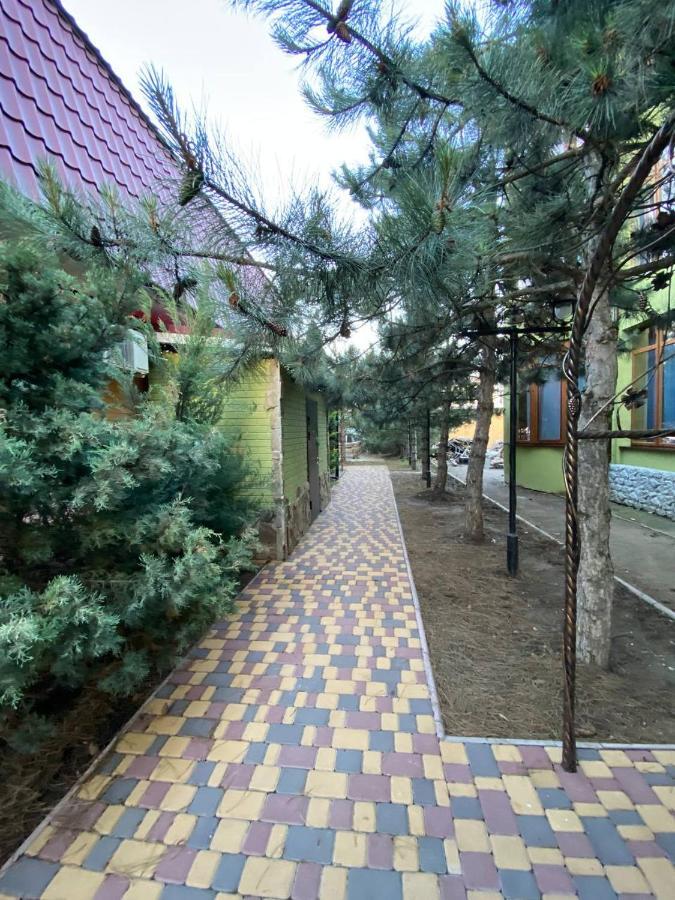 Villa Sosnovy Bor 扎托卡 外观 照片