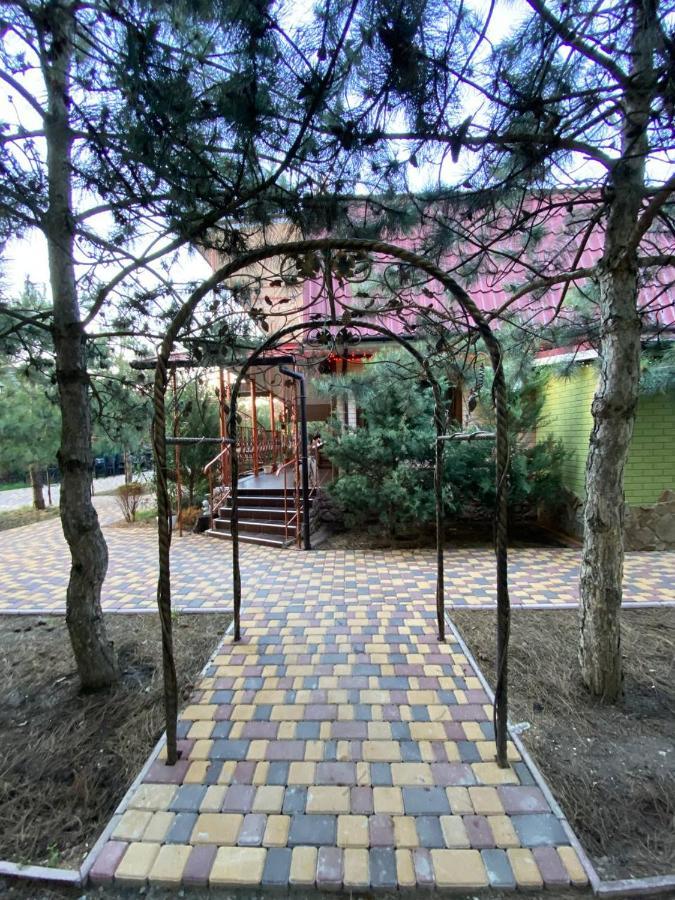 Villa Sosnovy Bor 扎托卡 外观 照片