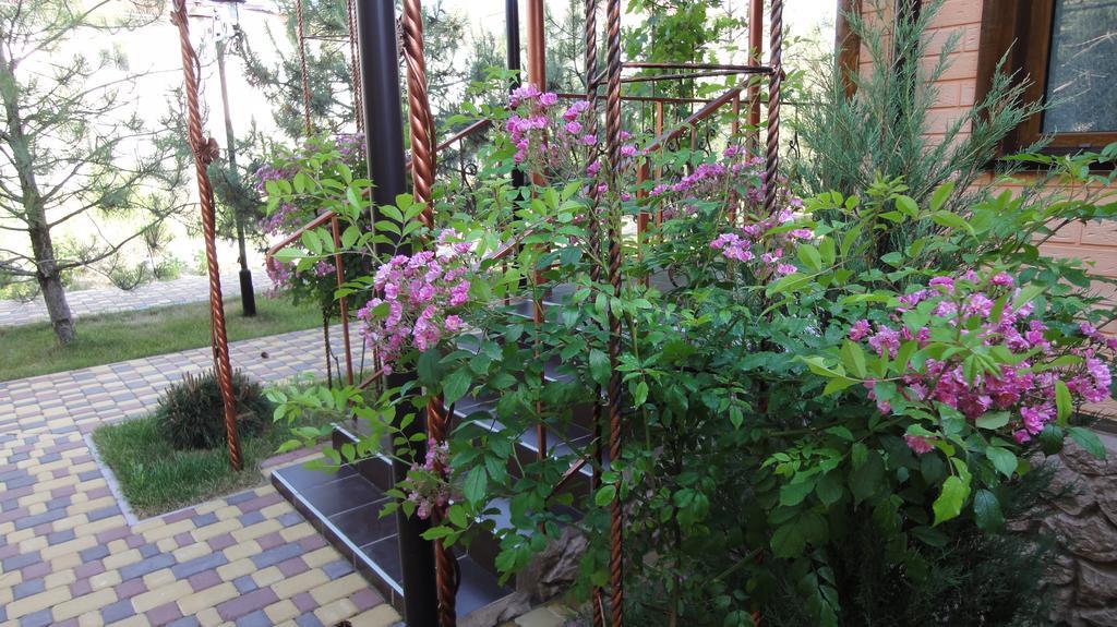 Villa Sosnovy Bor 扎托卡 外观 照片