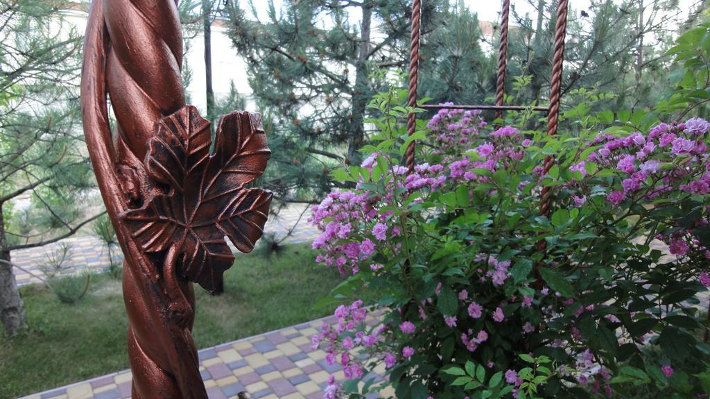 Villa Sosnovy Bor 扎托卡 外观 照片