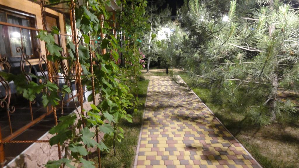 Villa Sosnovy Bor 扎托卡 外观 照片